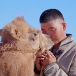 Camel milk delivers prosperity to herdsmen