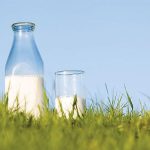 Dairy prices fall