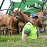 Essential financial management support for dairy farmers