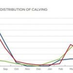 Returns improve for Victorian dairy farmers