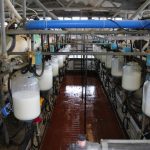 USDA Reminds Dairy Producers of Deadline for 2021 Safety Net Enrollment