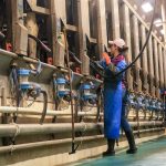 Washington Dairy Farmers to Pay