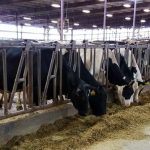 Report Finds Dairy Industry Supports More Than 15K Iowa Jobs