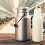 Dairy companies report robust milk sales in December