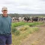 WA summer milk supply under pressure