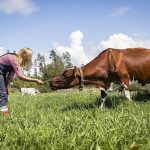 All Valio dairy farms receiving a sustainability bonus