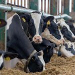 Arla confirms March milk price increase