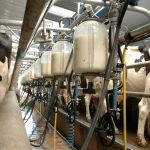 Dairy processors agree new method of reporting milk price. Heres everything you need to know