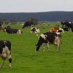 SA Dairy Summit to be held March 1