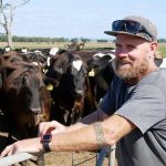 Dairy farmers riding high on one of the best seasons in recent memory