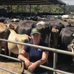 Farmer engagement key to profitability for Australias dairy industry