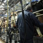 Finance minister called on to reverse milk recording VAT decision