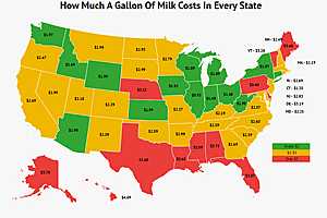 IS MILK CHEAPER IN WYOMING1