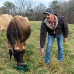 N.C. dairy farmers find opportunity in herd shares