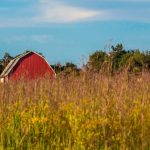 USDA announces more pandemic relief for farmers