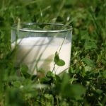 Arla farmgate milk price hike gives boost for Cumbrian producers