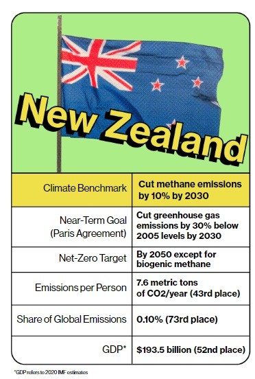 Cow Cocktails and Vaccines Join the Battle to Reach Net Zero1