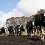 All dairy farmers need a new pricing formula