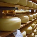 Awards for NZs top cheeses