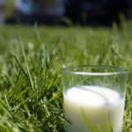 Independent statutory role for dairy commissioner welcomed