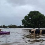 Rural Aid volunteers help dairy farmers in wake of once in a century flood