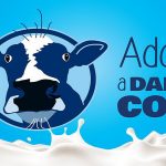 Adopt a Dairy Cow initiative provides milk to southwestern Wis. families in need