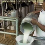 Argentine government not fair with milk producers