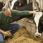 Can Dairy Be sustainable