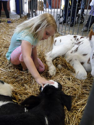 Celebrate Wisconsins dairy future this June 1