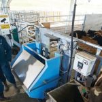 Genetics to help dairy kick vital climate goals 1