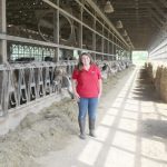 Looking at the positive impact of dairy farming