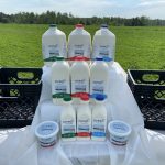 New sheep milk processing centre opens near Toronto