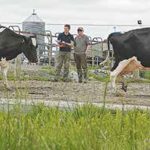 Vets ready to help Fonterra farmers earn more cash