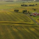 Wisconsin is still losing 1 dairy farm every day