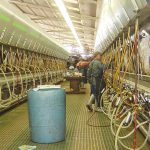 California dairy quota referendum fails by slim margin