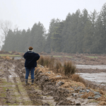 Canterbury farmers still counting the cost of flooding