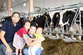 Dairy Farming in Japan