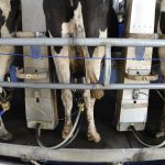 Dairy Industry Code working for farmers