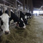 Dairy experts talk about industry ‘roller coaster at summit meeting