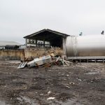 Hoffland Dairy owner rebuilding after fire in milking barn killed about 30 cows