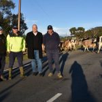 Livestock underpasses made possible by funding scheme