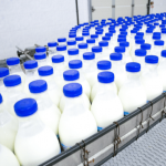 The U.S. Milk Production Rises on Strong Domestic and Export Demand for Processed Dairy Products