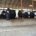 U.S. reps request 725M to help dairy farmers 1