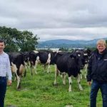 500000 cows milk recorded by Munster Bovine