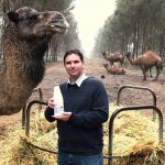 Australias camel plague might be good for the milk business one fan says