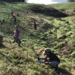 Dairy companies and volunteers dig deep to help restore waterways and bat colony