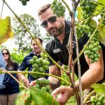 Legislators tour Ashville winery discuss regulations climate with Cambria County farmers