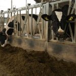 UK dairy farmers using poo power to reduce climate impact