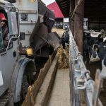 US dairy says Canada using new ways to boost dairy exports