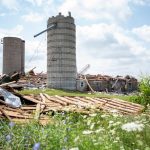 Year after derecho dairy farmer perseveres brings his cows back home 1